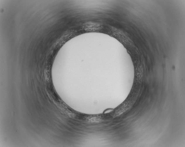 X0000069360755200606091601