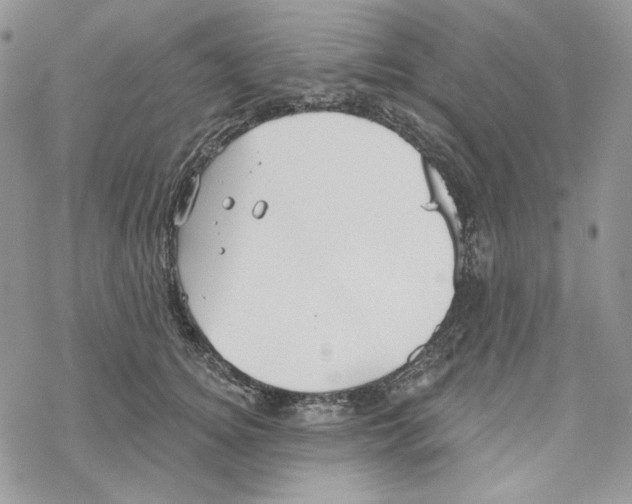 X0000069360756200606091601