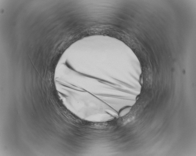 X0000069360758200606091601