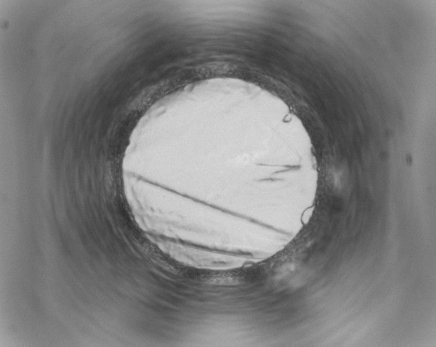 X0000069360759200606091601