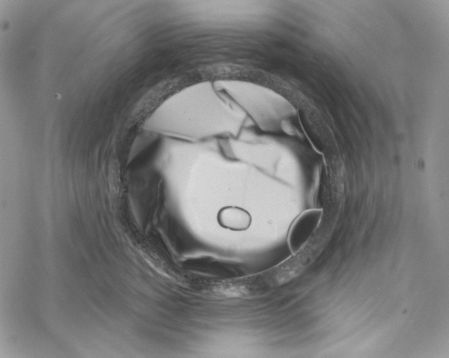 X0000069360760200606091601