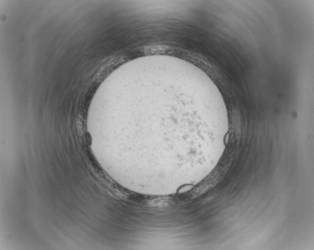 X0000069360761200606091601