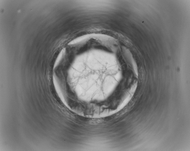 X0000069360762200606091601