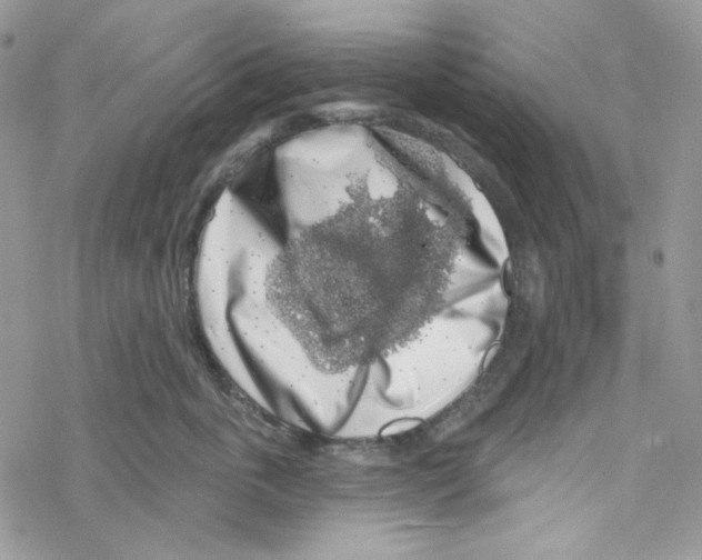 X0000069360763200606091601