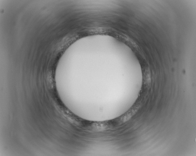 X0000069360764200606091601