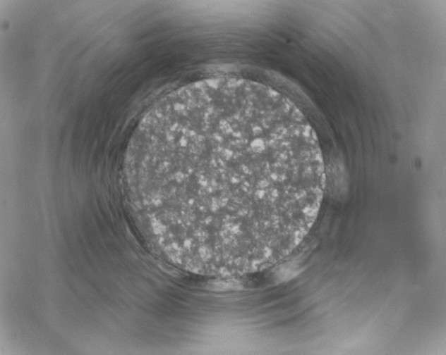 X0000069360765200606091601