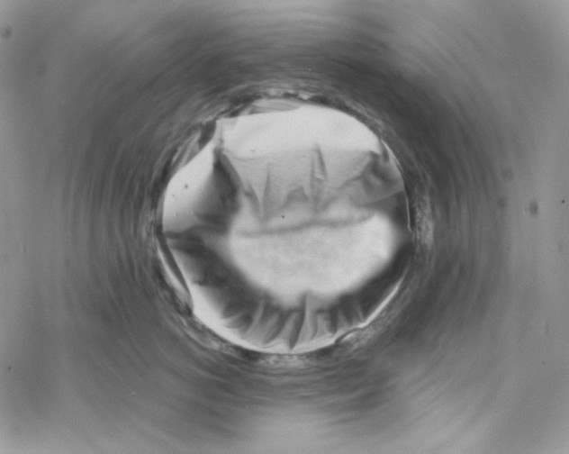 X0000069360766200606091601