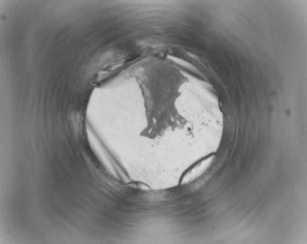 X0000069360767200606091601