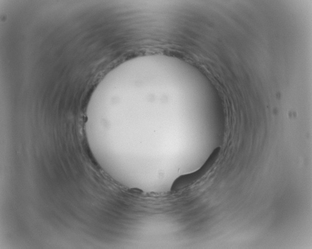 X0000069360768200606091601