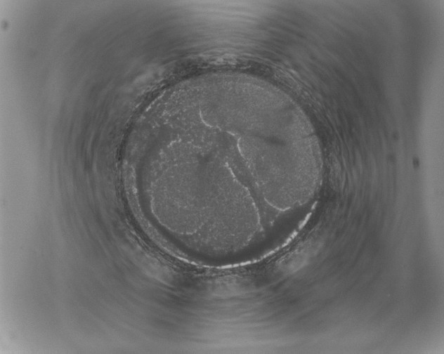 X0000069360769200606091600