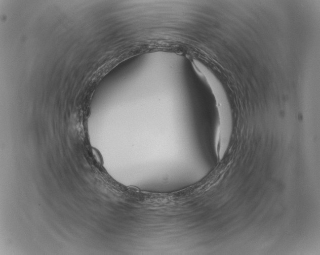 X0000069360771200606091600