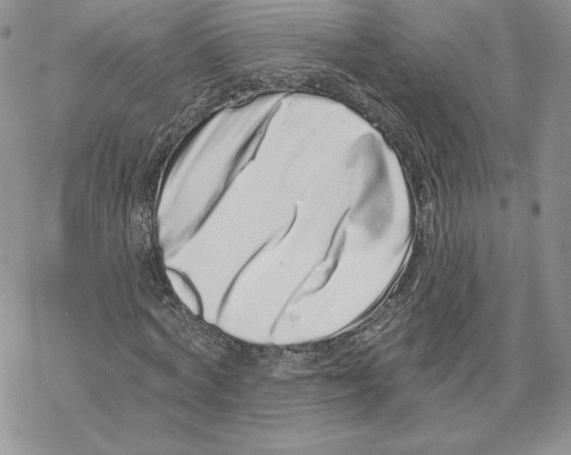 X0000069360772200606091600