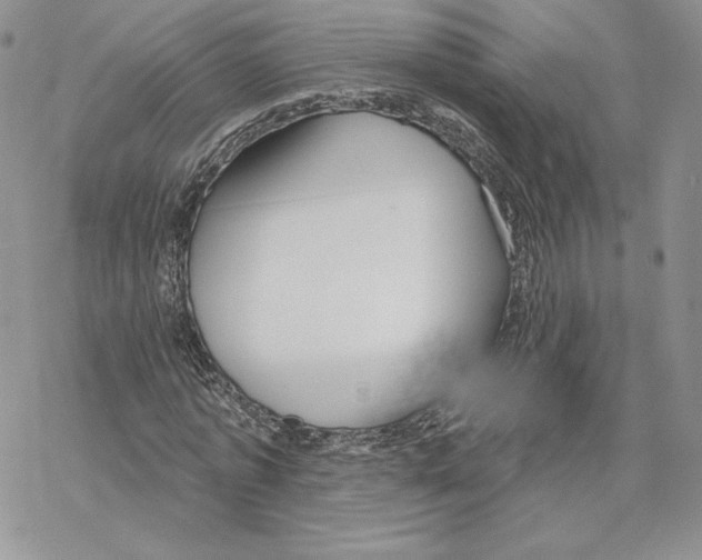 X0000069360773200606091600