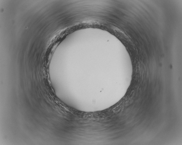 X0000069360776200606091600