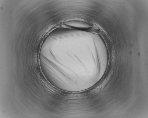 X0000069360777200606091600