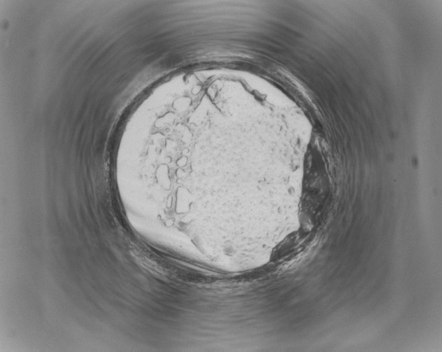 X0000069360779200606091600