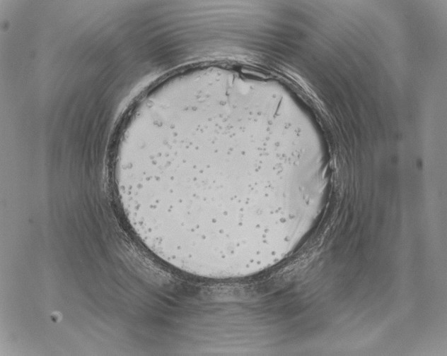 X0000069360780200606091600