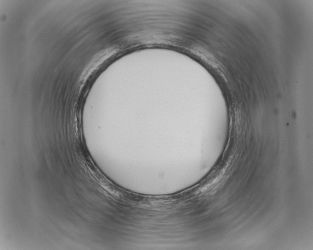 X0000069360782200606091600