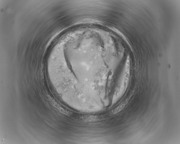 X0000069360783200606091600