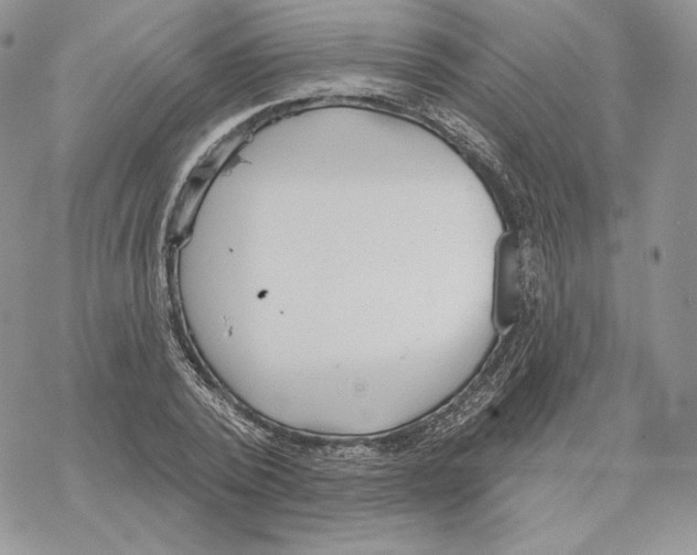 X0000069360784200606091600