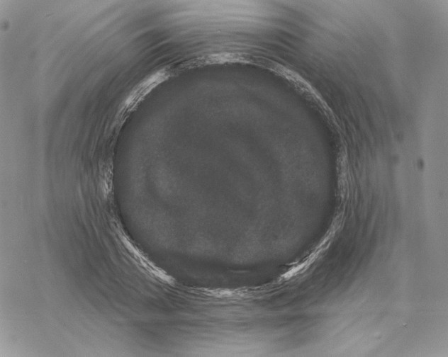 X0000069360785200606091600