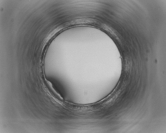 X0000069360786200606091600