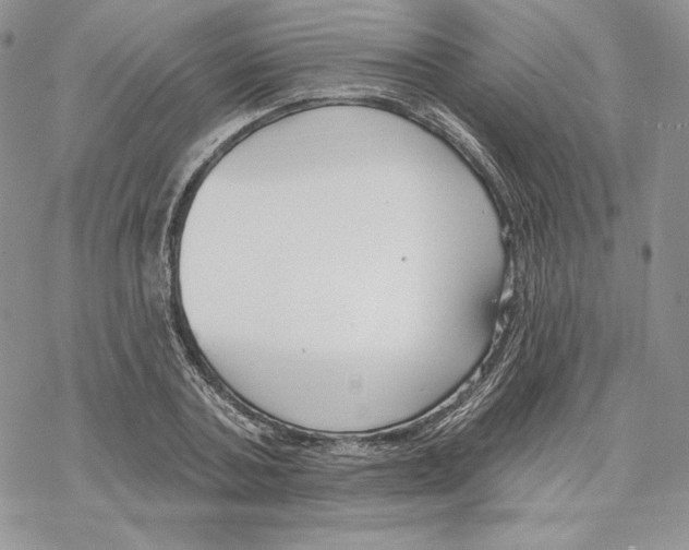 X0000069360787200606091600