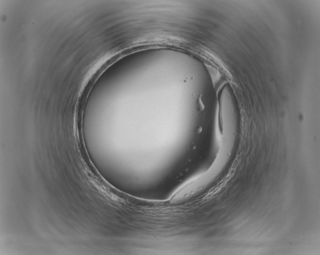 X0000069360788200606091600