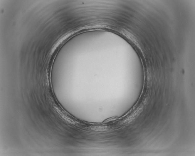 X0000069360789200606091600