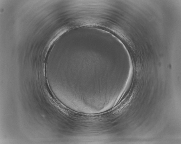 X0000069360790200606091600