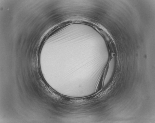 X0000069360791200606091600