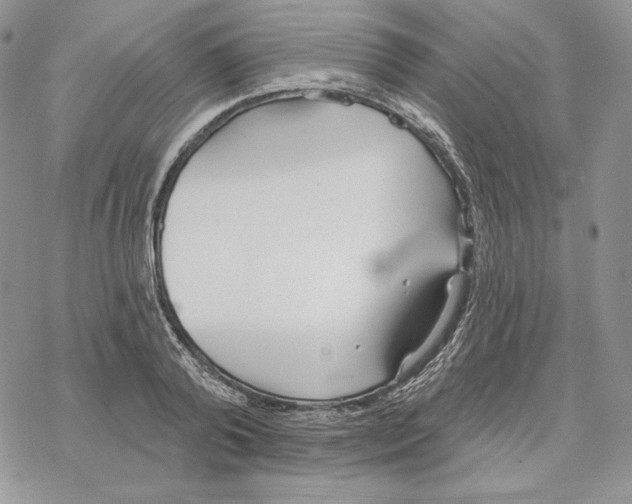 X0000069360792200606091600