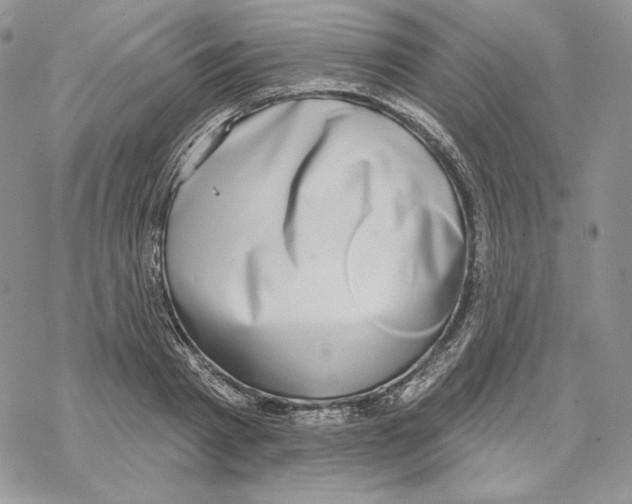 X0000069360793200606091600