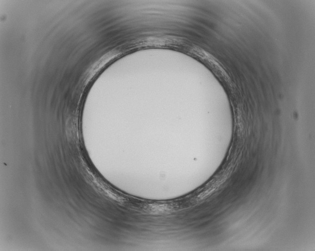 X0000069360794200606091600