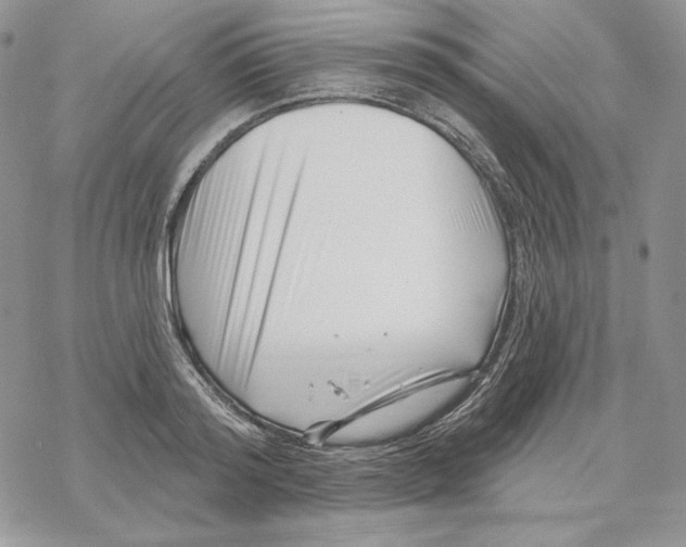 X0000069360796200606091600