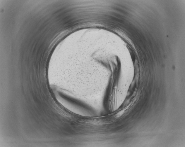 X0000069360797200606091600