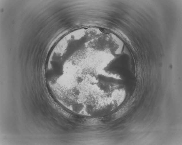 X0000069360798200606091600