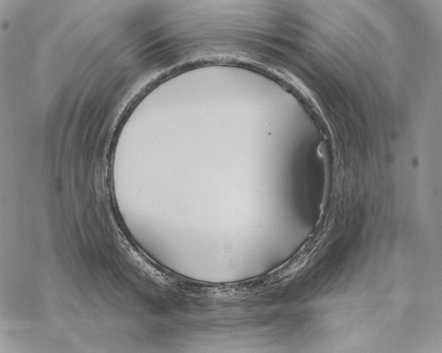 X0000069360799200606091559