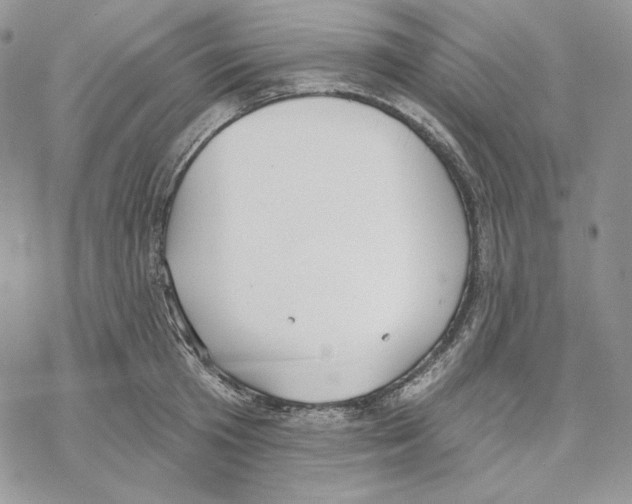 X0000069360801200606091559