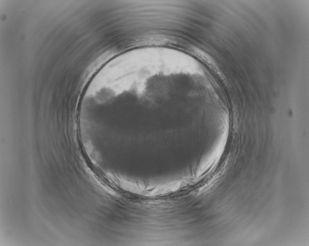 X0000069360802200606091559