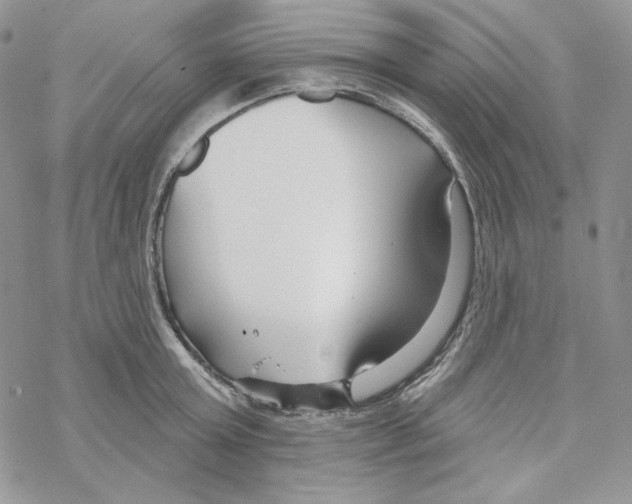 X0000069360803200606091559