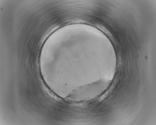 X0000069360806200606091559