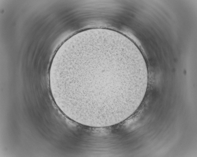 X0000069360807200606091559