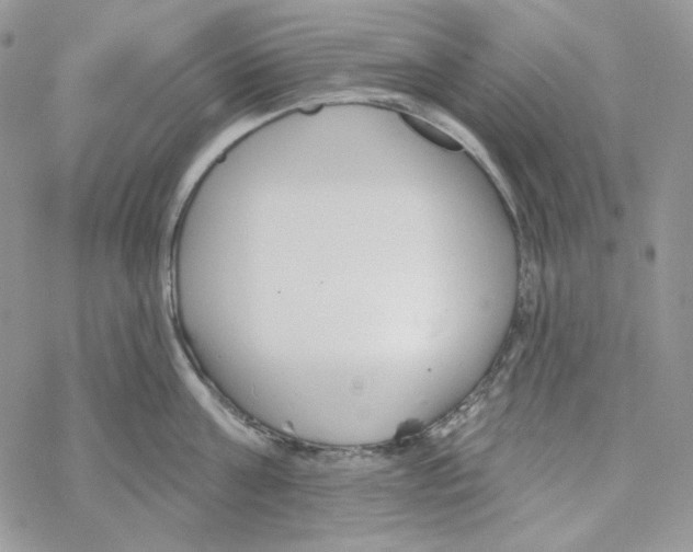 X0000069360811200606091559