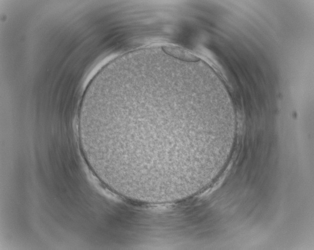 X0000069360814200606091559