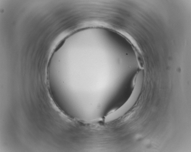 X0000069360815200606091559