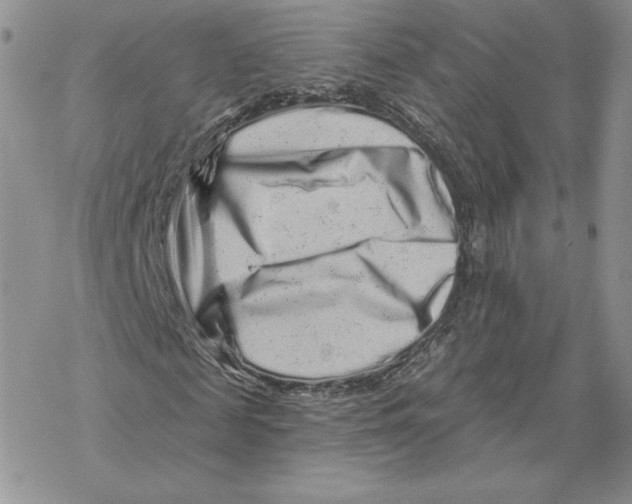 X0000069360817200606091558