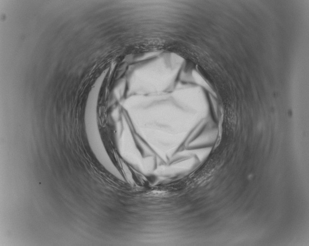 X0000069360818200606091558