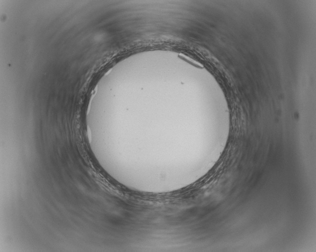 X0000069360820200606091558