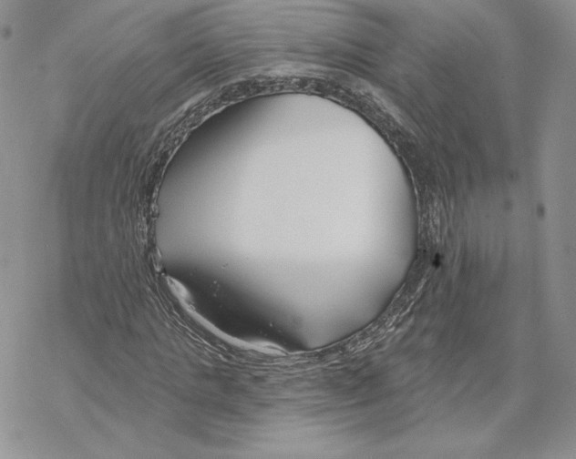 X0000069360821200606091559